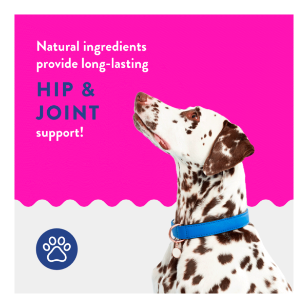 Natural ingredients provide long-lasting hip & joint support!